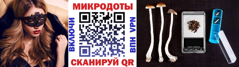 что такое наркотик  Сальск  Псилоцибиновые грибы GOLDEN TEACHER 